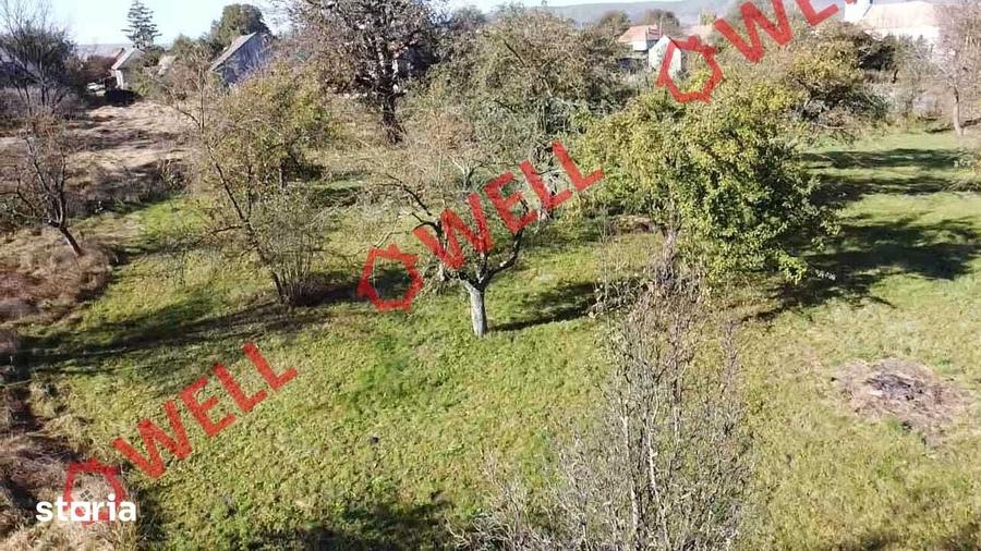 Casă cu 3 camere cu Teren 5213 Mp în Cernat