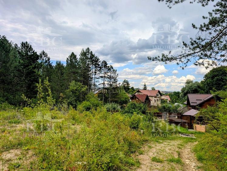 Teren Construcții intravilan de 753 mp, în Baciu