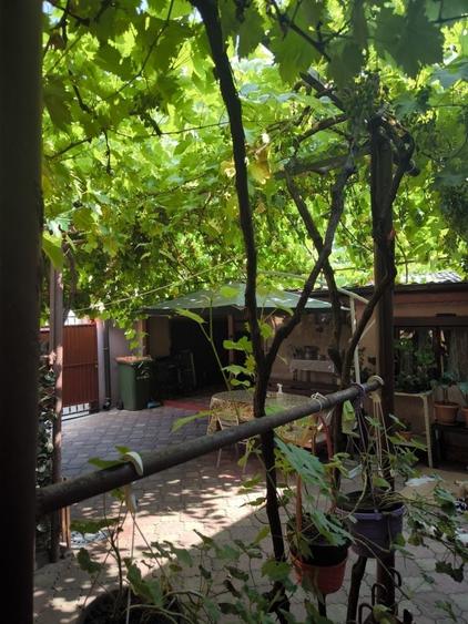 Casă cu 4 camere cu Teren 240 Mp în Bucureștii Noi