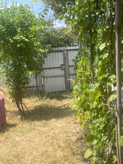 Casă individuală cu 2 camere cu Teren 100 Mp în Negreni