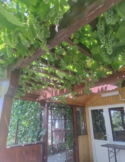 Teren de 580 mp, în Vânători