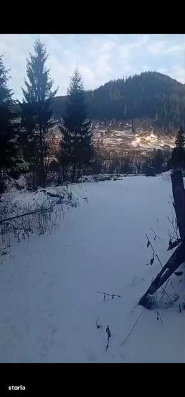 Teren de 8179 mp, în Cârlibaba