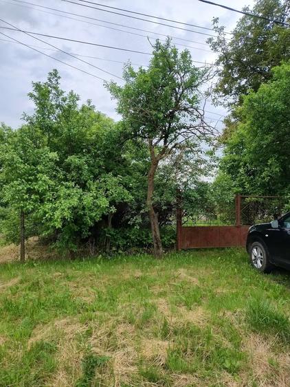 Teren de 1500 mp, în Păsăreni