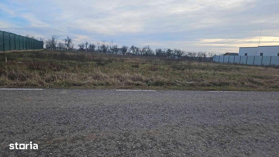 Teren de 1776 mp, în Albota