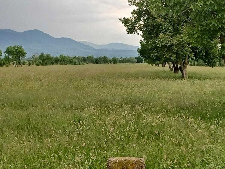 Teren Construcții intravilan de 10500 mp, în Exterior Nord