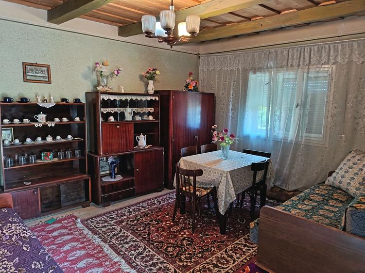 Casă cu 4 camere cu Teren 1924 Mp în Susag
