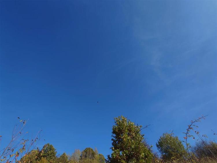 Teren extravilan de 12166 mp, în Vălișoara