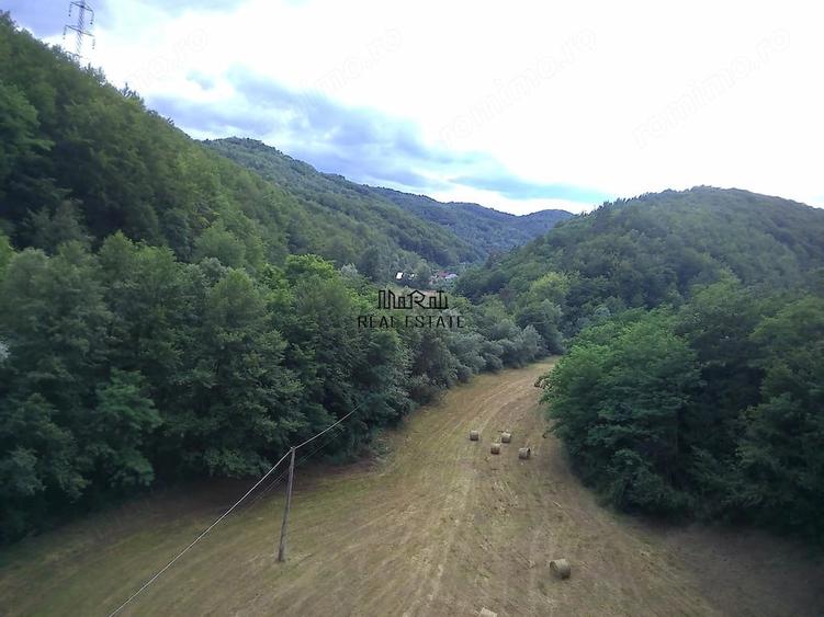 Teren de 5800 mp, în Podele