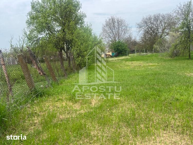 Teren de vanzare, 1001 mp, vatra veche, in Sanandrei, Timis - 2