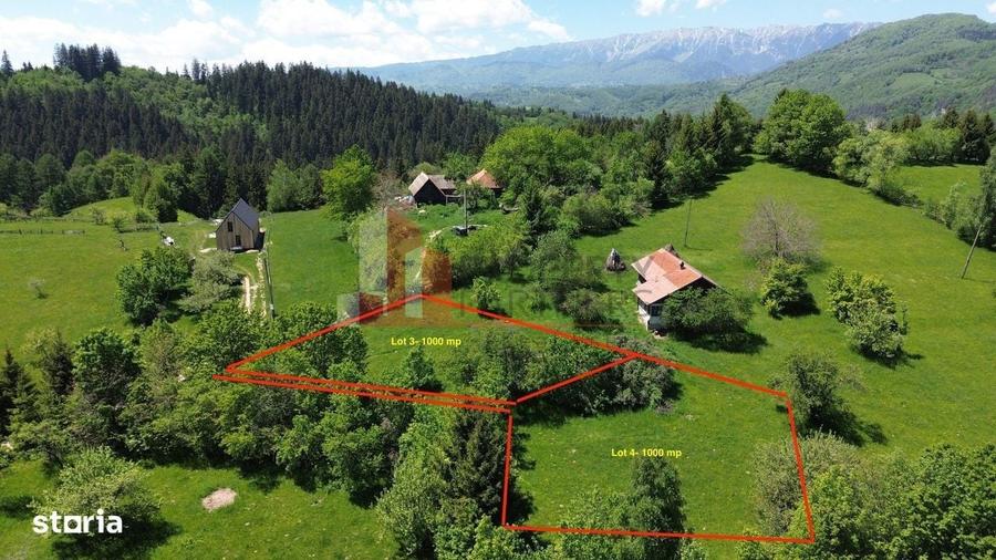 Spațiu comercial, în Bran