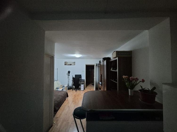Garsonieră decomandată în Timișoara