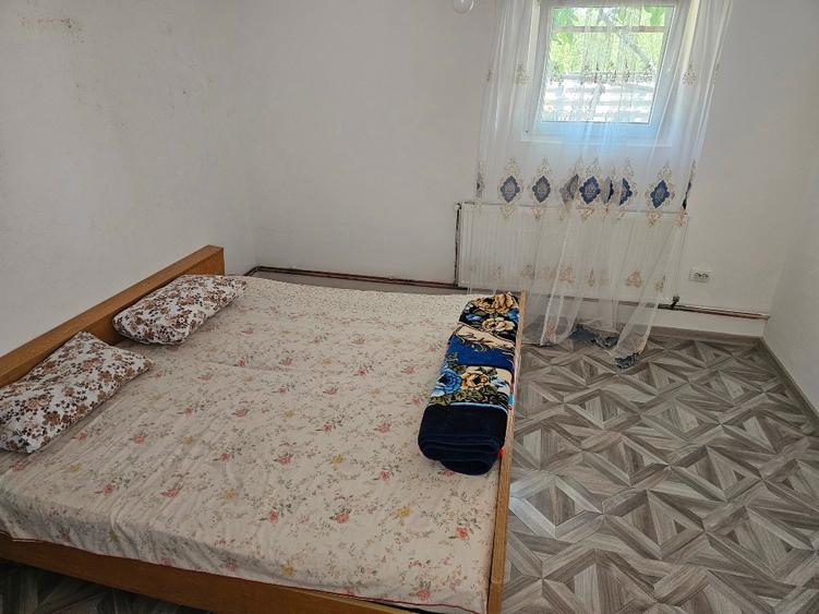 Casă individuală cu 5 camere cu Teren 2974 Mp în Albești-Paleologu