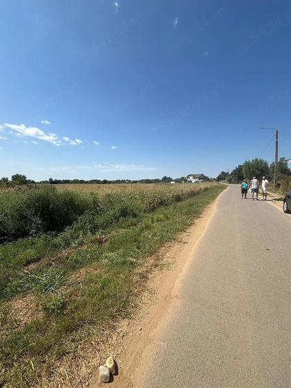 Teren de 9000 mp, în Joița