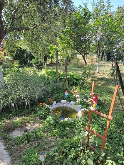Casă cu 3 camere cu Teren 2877 Mp în Bethausen