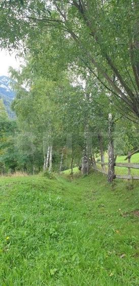 Teren 13.570 mp, Moieciu Pestera - 18