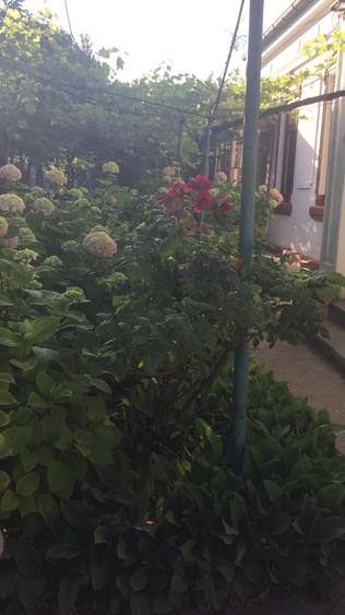 Casă cu 4 camere nedecomandat în Dorobanți