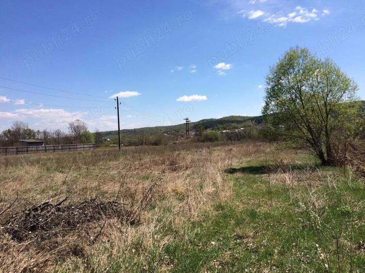 Proprietar,Teren Valea Ursului la 5km de Pitesti - 4