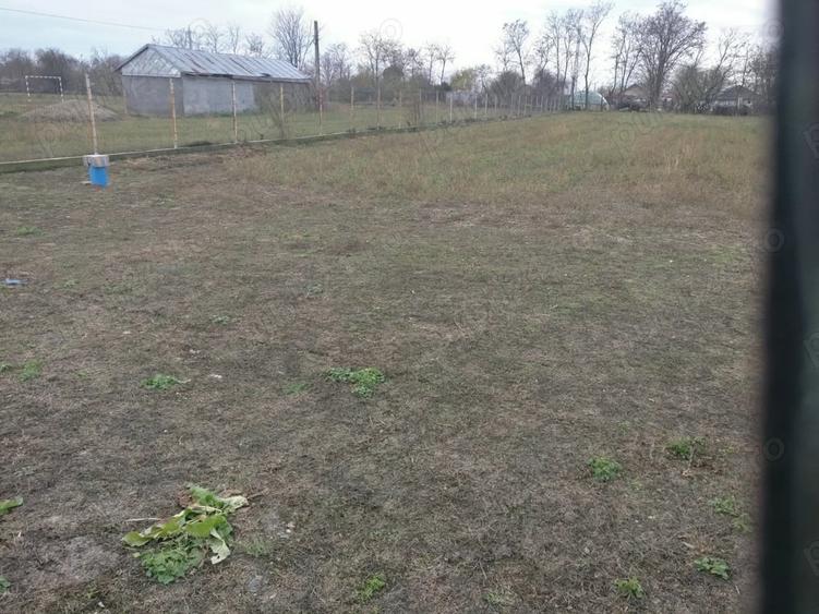 Teren de 3000 mp, în Urleasca
