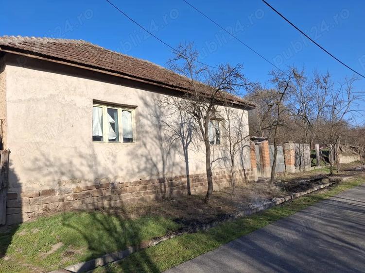 Casă cu 3 camere cu Teren 1400 Mp în Vintere