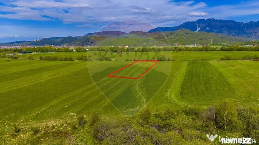 Teren 3000mp de vanzare in Ra?nov / Panicel - Rasnov (Brasov) - 13