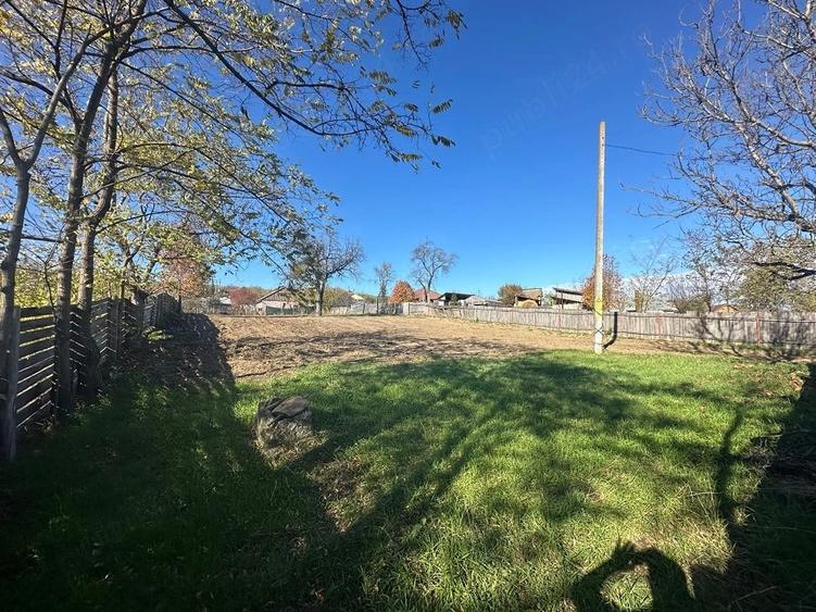 Teren de 1560 mp, în Ciurea