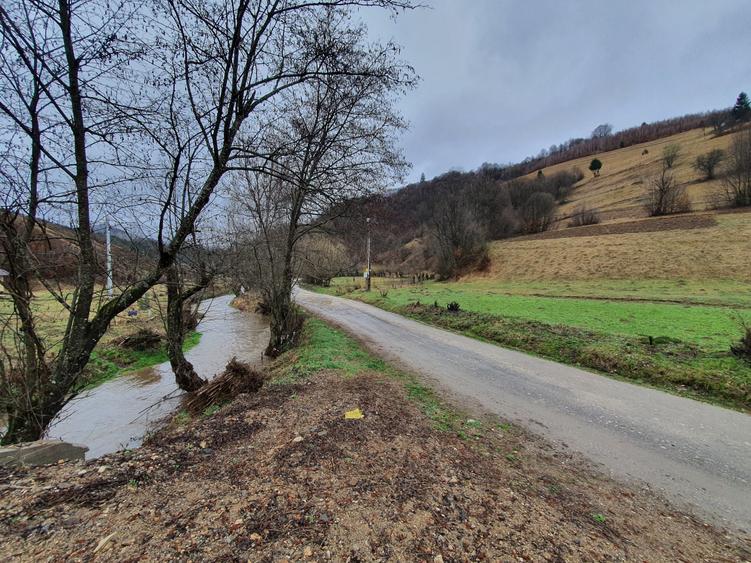 Teren agricol extravilan de 16400 mp, în Poiana Mărului