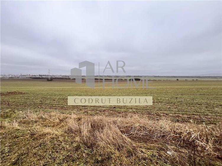 Teren Construcții intravilan de 4792 mp, în Bucov