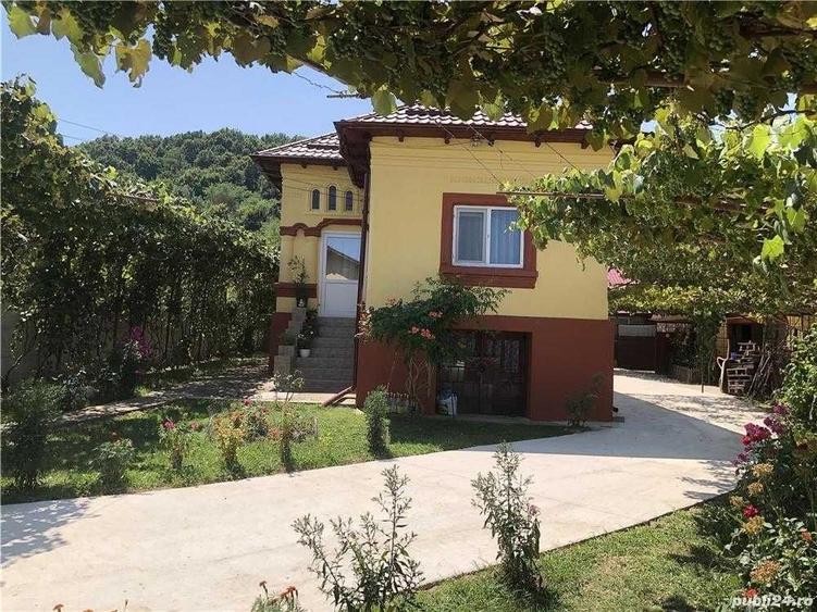 Vand Casa Dobrogostea - 6
