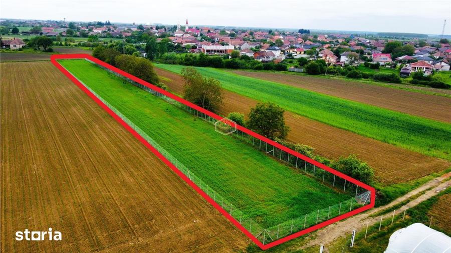 Teren de 3600 mp, în Burdea