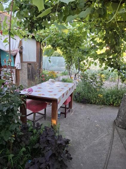 Teren de 266 mp, în Sfântu Gheorghe