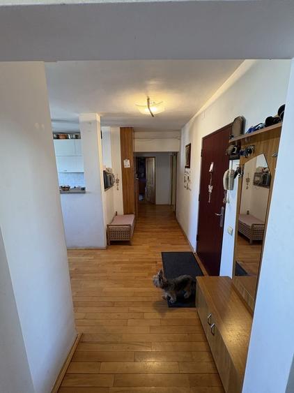 Apartament cu 3 camere decomandat în Mănăștur