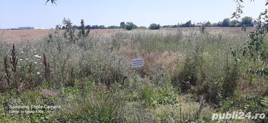 Teren de 5000 mp, în Balotești