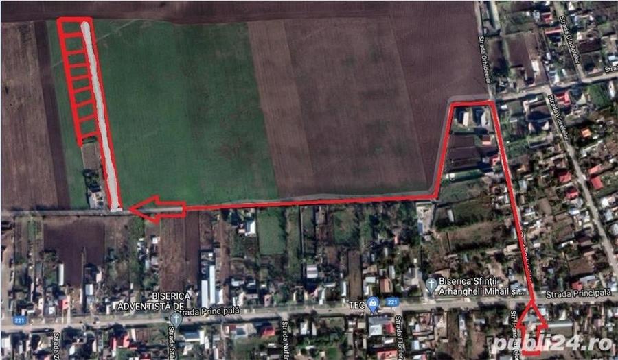 Teren de 10000 mp, în Cazasu