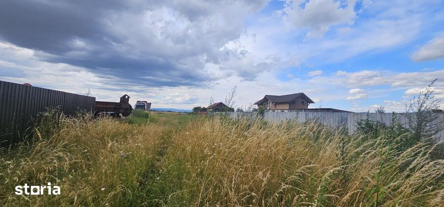 Teren de 1450 mp, în Tărlungeni