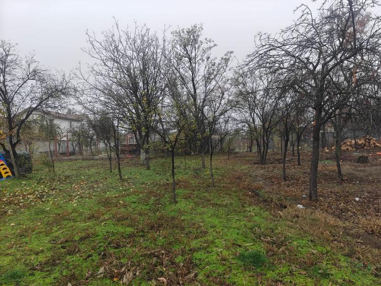 Teren Construcții intravilan de 12511 mp, în Potoceni