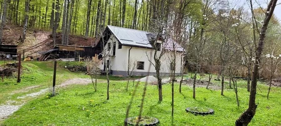Casă cu 4 camere cu Teren 800 Mp în Central