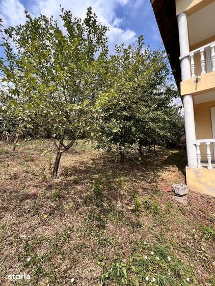 Casă cu 6 camere cu Teren 732 Mp în Central