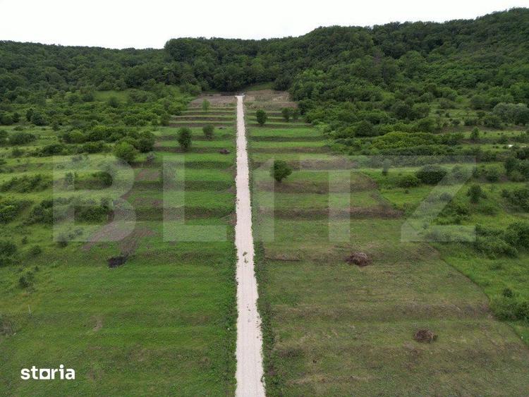 Teren de 15500 mp, în Aiud