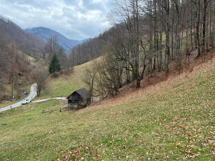 Teren intravilan 1.28ha Remeti–perfect pensiune/cabane, zonă turistica - 4
