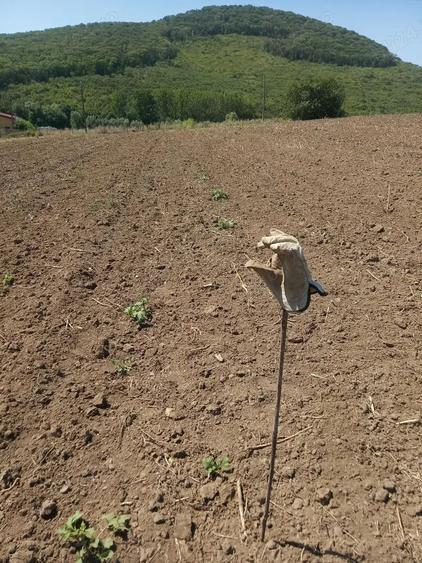 Teren de 1500 mp, în Telița