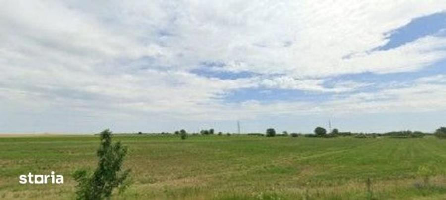 Teren de 1200 mp, în Pogoanele