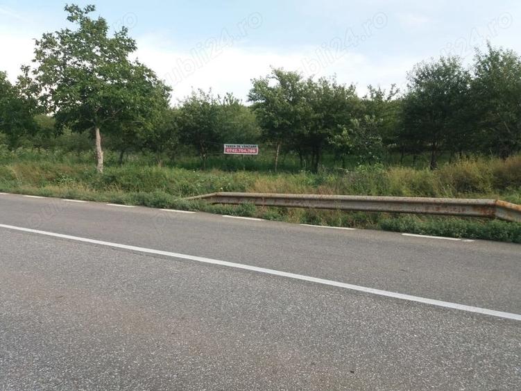Teren de 9104 mp, în Costuleni