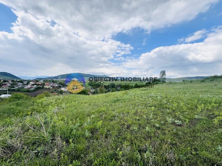 Teren agricol intravilan de 3000 mp, în Ciritei