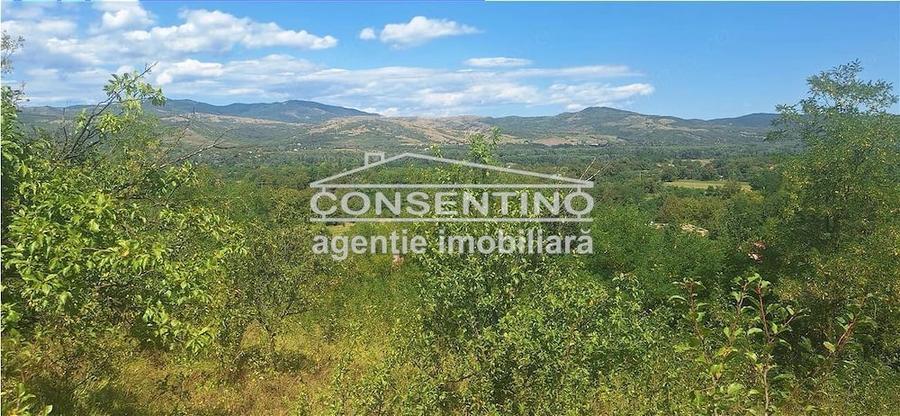 Casă cu Teren 3167 Mp în Măgura