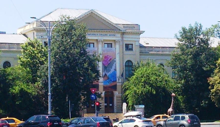 Apartament cu 2 camere semidecomandat în Dorobanți