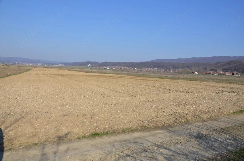 Teren de 45000 mp, în Budești