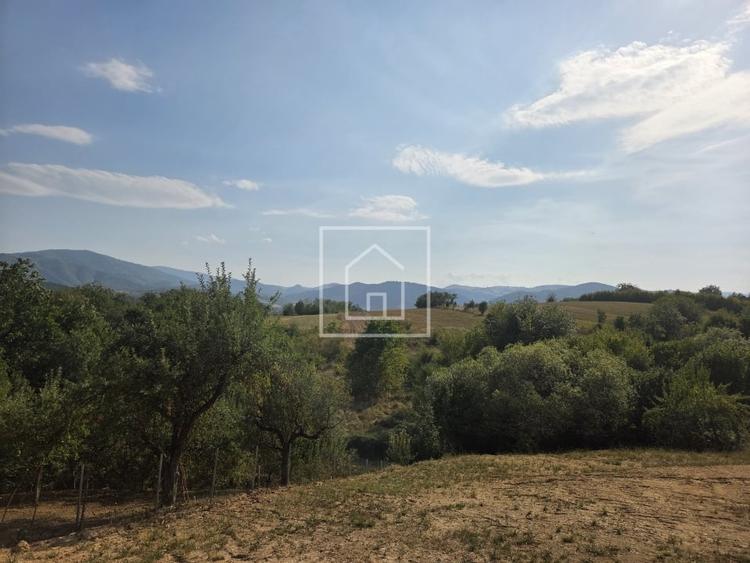 Teren Construcții intravilan de 1750 mp, în Calea Dumbrăvii