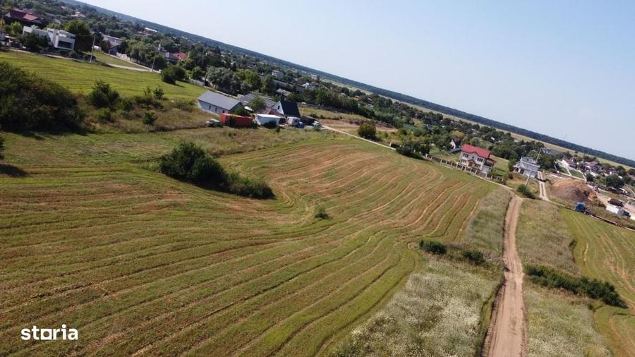 Teren intravilan 10.789 mp in Snagov - 3
