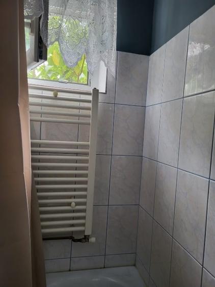 Apartament cu 2 camere, mobilat în Take Ionescu