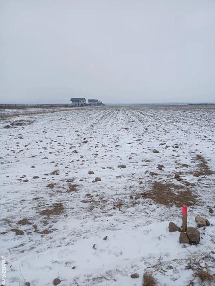 Teren de 5000 mp, în Cărpiniș